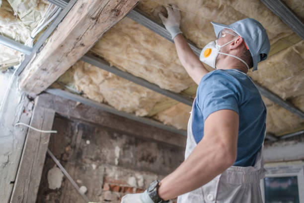 Best Insulation Installation Services in North Merrick, NY
